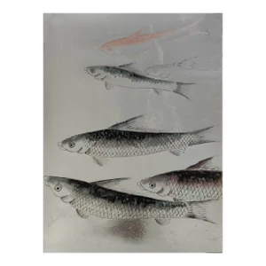 Fish Silver Metallic Wallpaper Sample