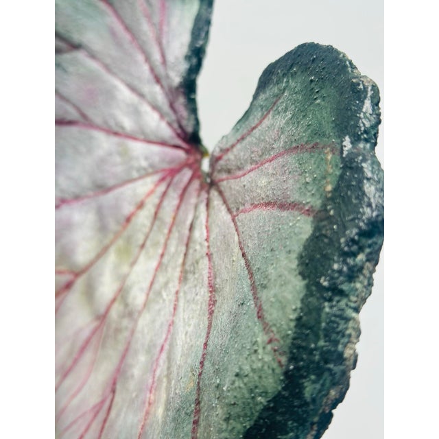 This piece feels organic and quietly dramatic, like something lifted from a tide pool or fossil bed and transformed into...