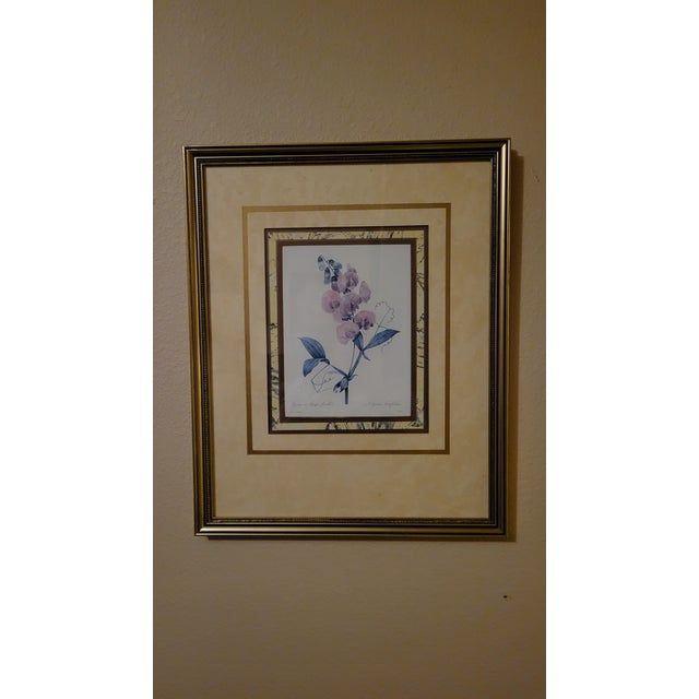 After Pier Joseph Redoute Pair of Framed Botanic Rose Prints For Sale - Image 9 of 12