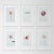 Set of 6 - One-of-a-Kind Cy Twombly Inspired Shadow Box Framed Botanical Floral Oil Paintings by Diane Grant For Sale - Image 11 of 11