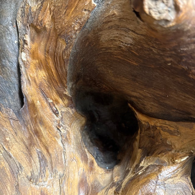 Wood Root Hand-Carved Organic Sculpture Sphere, Large For Sale - Image 9 of 12