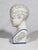 Late 20th Century Vintage Style Porcelain Phrenology Head by l.n. Fowler / Ludgate Circus, London England For Sale - Image 5 of 7