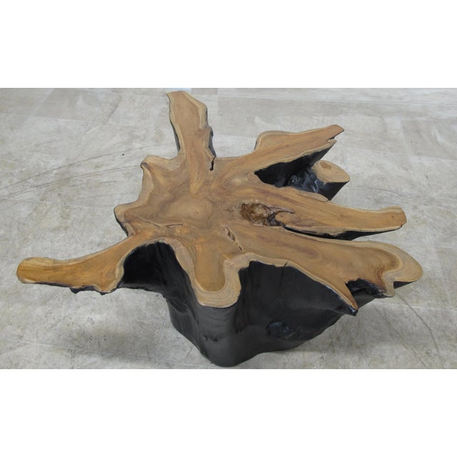 Organic Modern Star Teak Root Coffee Table For Sale - Image 9 of 10