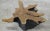 Organic Modern Star Teak Root Coffee Table For Sale - Image 9 of 10