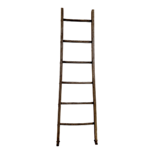 Early 20th Century Primitive Kansas Homestead Wooden Blanket Ladder