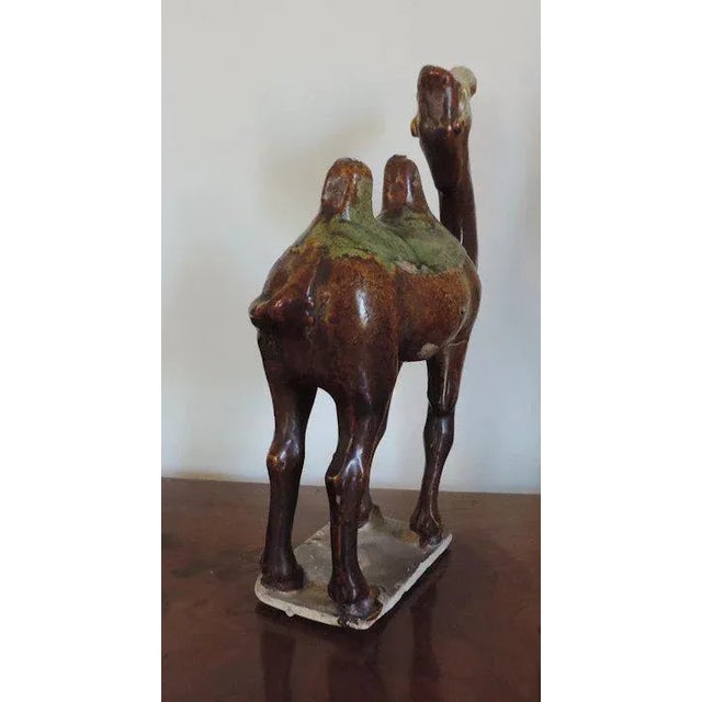 Ceramic Chinese Tang Pottery Model of a Camel For Sale - Image 7 of 11