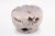 Bleached White Teak Root Accent or Side Table or Stool 26 For Sale - Image 4 of 4