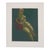 Nude with Hat* Samuel Clayberger, c. 1990s Nude with Hat feels less like a straightforward figure study and more like a...