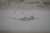 Printmaking Materials Antique Edward Loyal Field Signed Panoramic Sailboat Seascape Etching 35" For Sale - Image 7 of 12