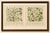 M. Fünfstück, Umbellifers & Medicinal Plants, 1890s, Chromolithograph, Set of 2 For Sale - Image 6 of 9