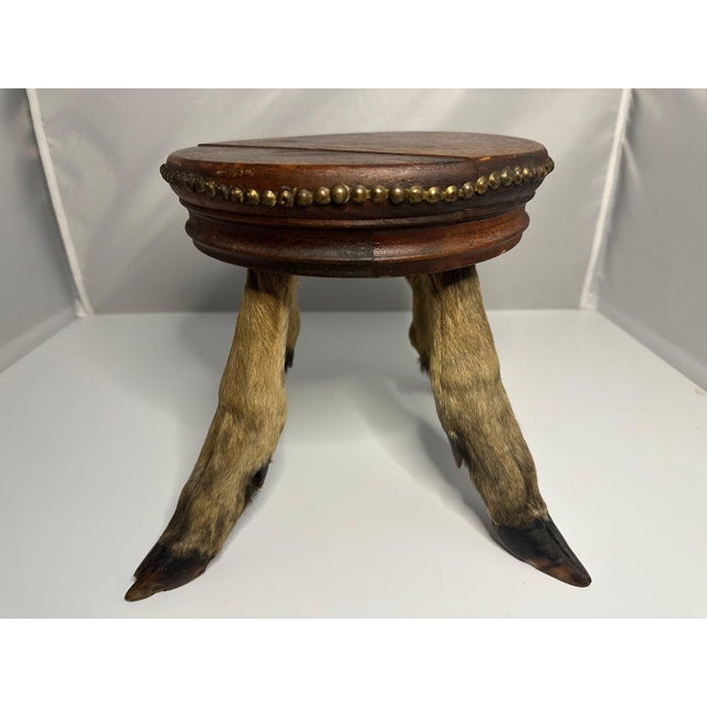 Antique Taxidermy Deer Hoof & Mahogany Stool for your consideration. The stool measures approx. 8 1/4 inches tall. Top...