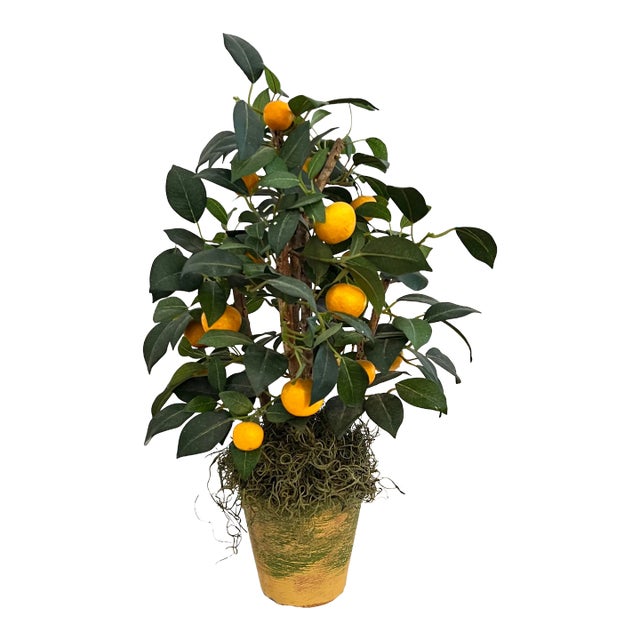 Faux Citrus Tree in Terra Cotta Pot For Sale