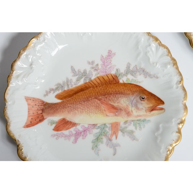 Off-white Antique Hand-Painted French Limoges Porcelain Fish Service Set - 14 pcs For Sale - Image 8 of 14