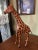 African 1970’s 18” Leather Wrapped Hand Painted Giraffe Model For Sale - Image 3 of 9