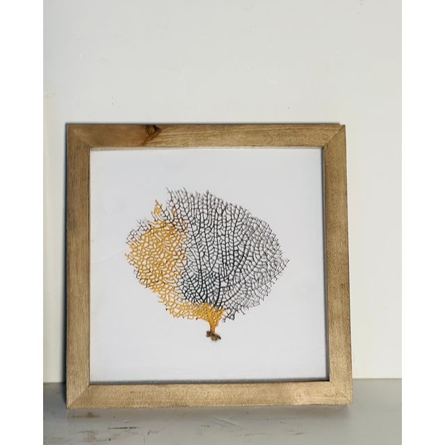 Two Natures Beauty Sez Brunches Framed For Sale In Miami - Image 6 of 9