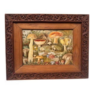 Framed Mid 20th Century Botanical Watercolor of Mushrooms For Sale