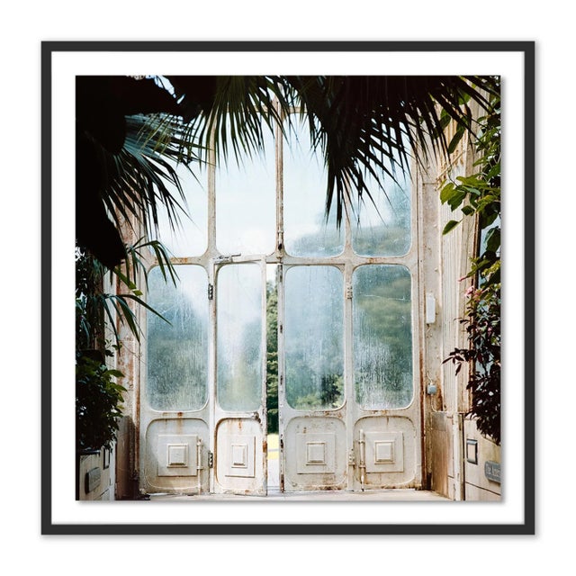 Annie Spratt Greenhouse 2 by Annie Spratt, Art Print in Black Frame, Medium For Sale - Image 4 of 4