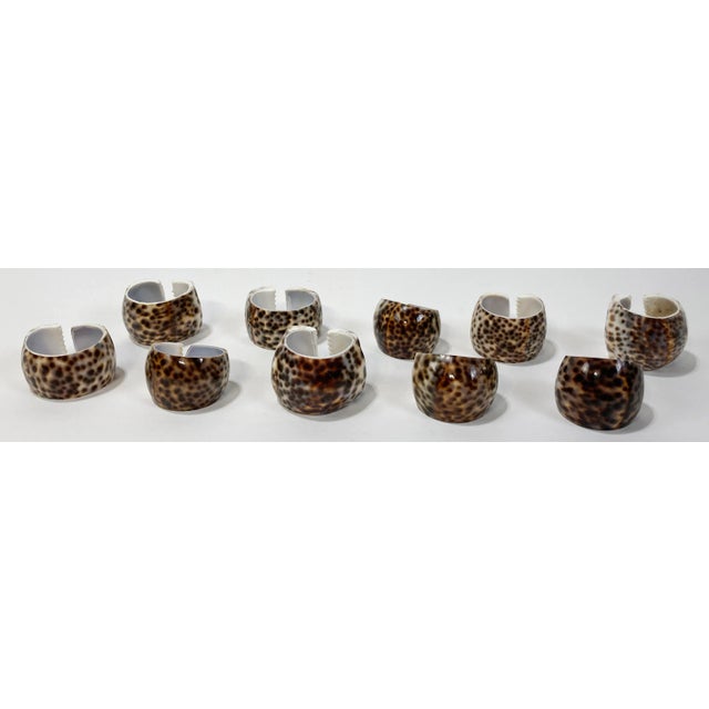Coastal Vintage Tiger Cowrie Shell Napkin Rings, Set of 10 For Sale - Image 3 of 9