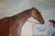 Blue Silks Jockey W/ Racehorse in Landscape Oil on Canvas For Sale - Image 4 of 5