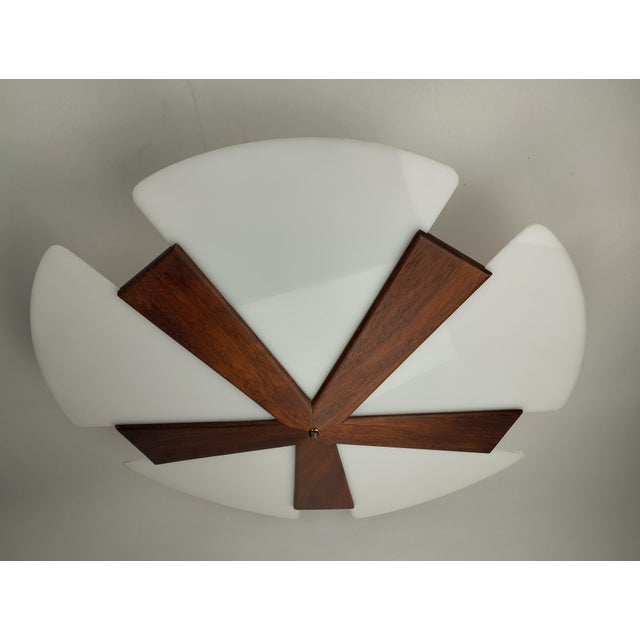 Scandinavian Style Teak and Plastic Ceiling Light, 1960s For Sale - Image 11 of 11