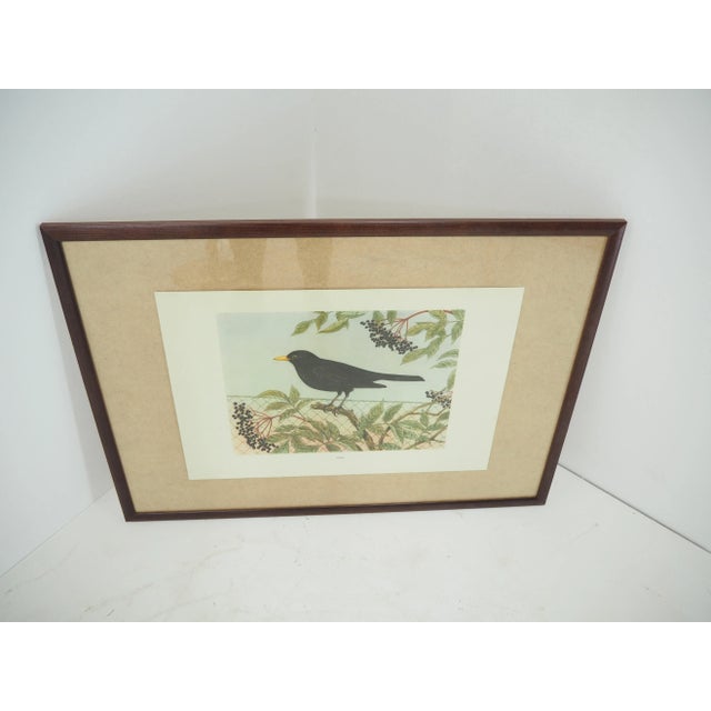 1960s Mid-Century School Poster, Czechoslovakia, 1960s For Sale - Image 5 of 8