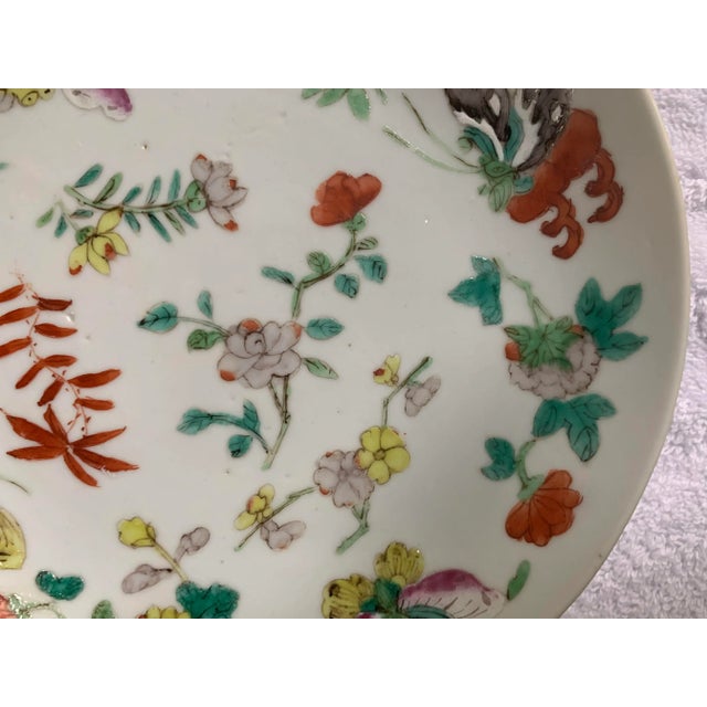 Ruby Red Mid 19th Century Qing Antique Chinese Floral Butterflies & Bats Porcelain Plate For Sale - Image 8 of 13