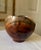 Arturo Solano Exotic Wood Turned Bowl For Sale - Image 4 of 12