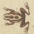 Paper Bertuch, Five Frogs Including a Striped Frog, 1815, Print For Sale - Image 7 of 12