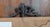19th Century Continental European French or Italian Rococo Mirror With Etched Glass For Sale - Image 15 of 17