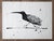 1977 Modernist Shore Bird Ink Drawing For Sale In Seattle - Image 6 of 6