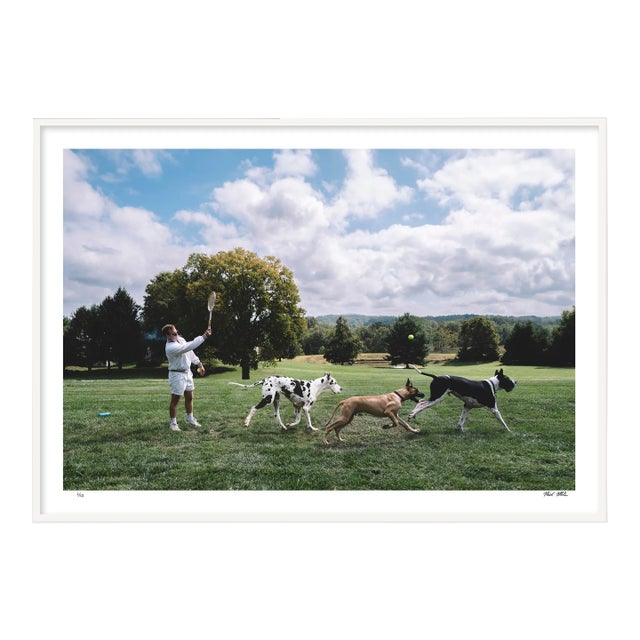 "Fetch", Contemporary Framed Photograph by Nick Mele, Small For Sale