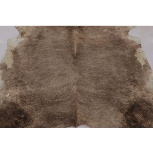 Traditional Rug & Kilim’s Large Cowhide Rug in Sheen Beige and Brown Tones For Sale - Image 3 of 9