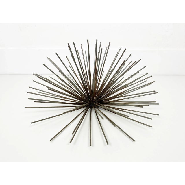 1970s Large Vintage Sea Urchin Sunburst Wall Sculpture For Sale - Image 5 of 11