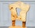 Wood Brutalist Chairs in Elm, 1950, Set of 6 For Sale - Image 7 of 11