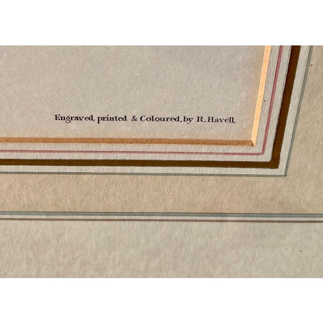 1960s XLarge 35"h Reproduction Prints of Audubon "Birds of America" Engravings by R. Havell -Set of 2 For Sale - Image 14 of 17