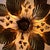 Vintage Wall Light by Hans Kögl, 1970s For Sale - Image 11 of 17