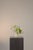 Contemporary Table Top Floral Arrangement by Apartment 387 For Sale - Image 3 of 8