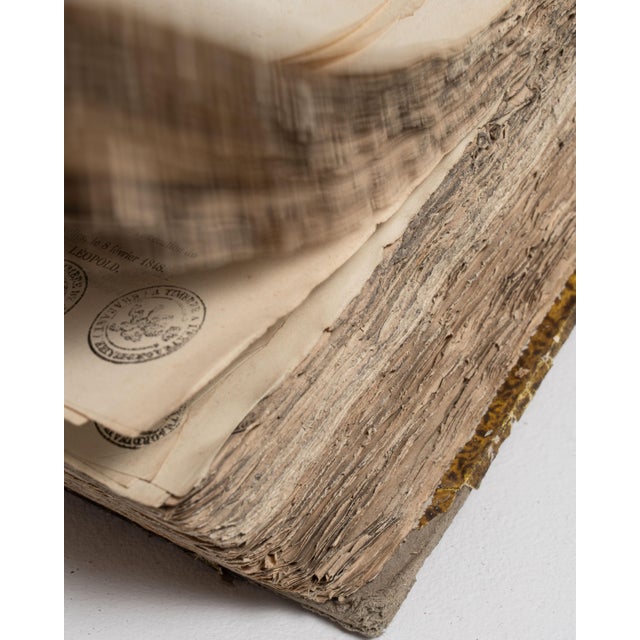 Chocolate Early 20th Century France Chocolate Wood Book For Sale - Image 8 of 15