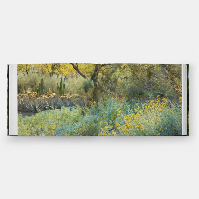 Green Envisioning Landscapes: The Transformative Environments of Ojb For Sale - Image 8 of 8