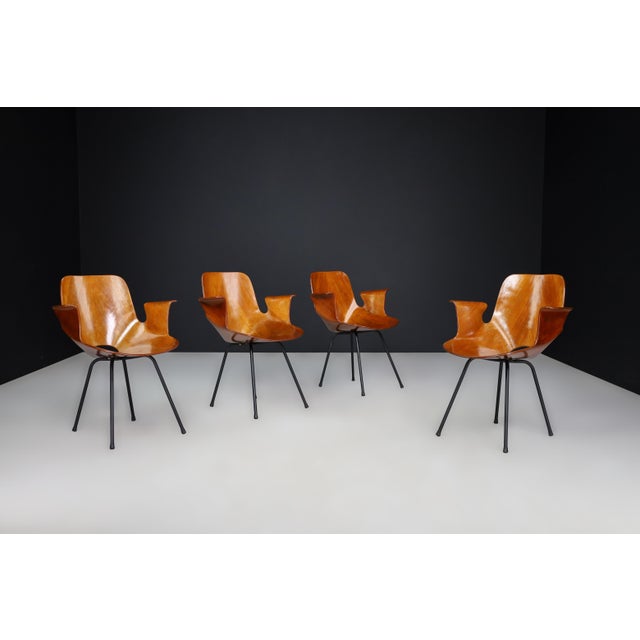 Medea Armchair by Vittorio Nobili for Fratelli Tagliabue, Italy, 1955 For Sale - Image 10 of 12