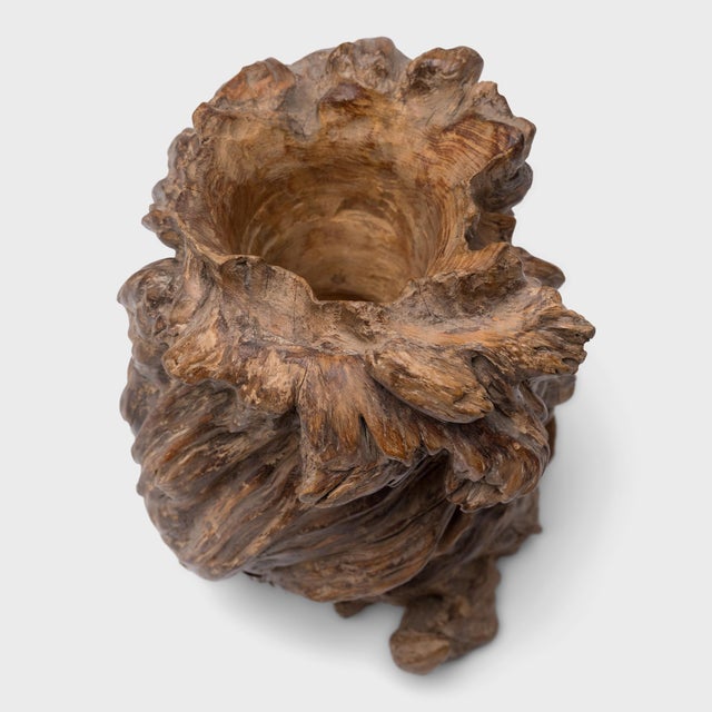 Chinese Burled Brush Pot, C. 1900 For Sale - Image 4 of 4