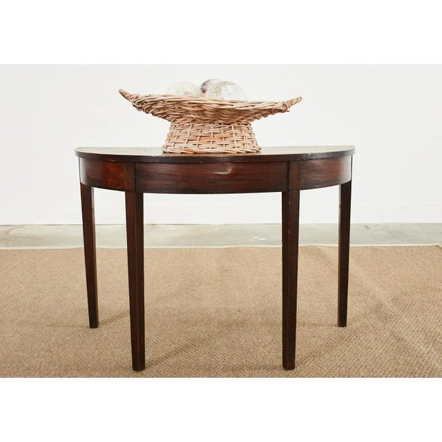 White Set of Three Painted Dyed Ostrich Egg Specimens For Sale - Image 8 of 13