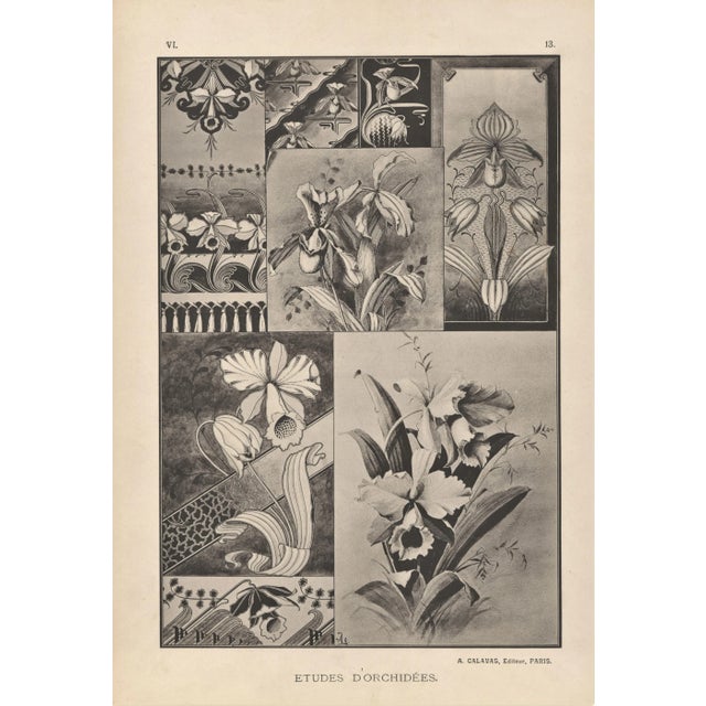 1900 - 1909 Orchids-Art Nouveau Botanical Design Lithograph For Sale - Image 5 of 5