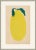 Contemporary Rollinia Framed Art Print by Susan Hable For Sale - Image 3 of 3