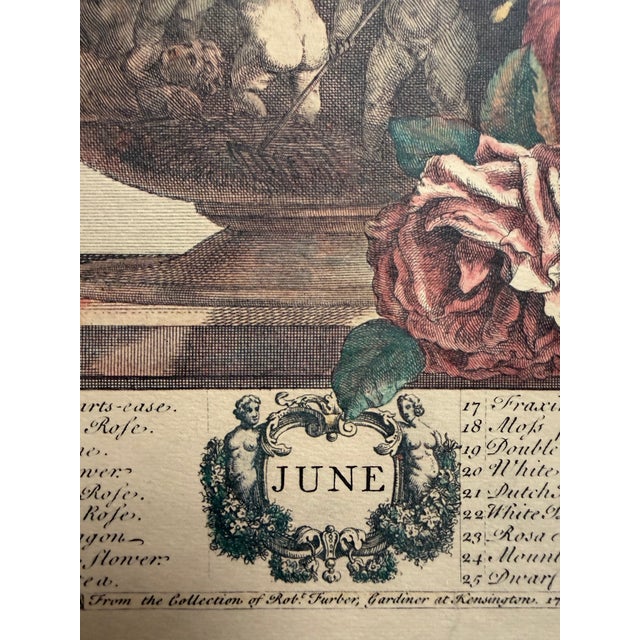 Fletcher English Botanical Print For Sale - Image 4 of 5