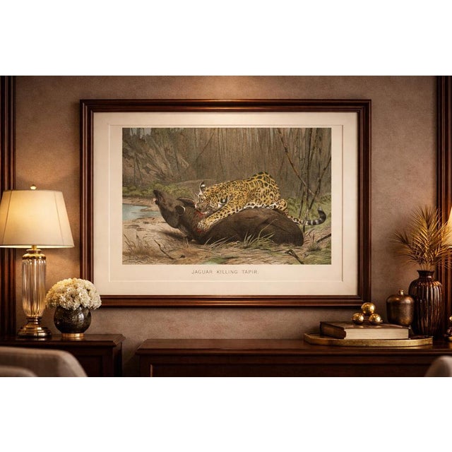 Jaguar Killing Tapir, Dramatic Antique Wildlife Print, Victorian Era, 1894 : This intense and dramatic scene shows a...