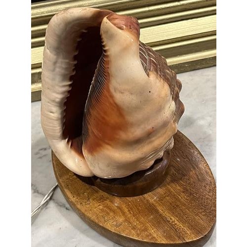 Vintage Conch Shell Lamp, 1950s For Sale - Image 3 of 6