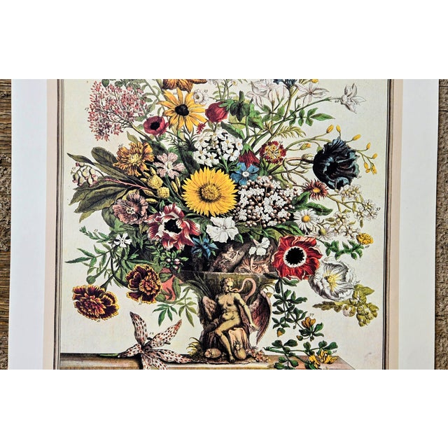 Green 1980s Vintage Robert Furber November Botanical From "Twelve Months of Flowers” Pierpont Morgan Library Print For Sale - Image 8 of 10