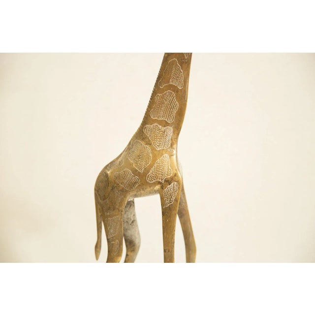 Mid 20th Century Extra Large Vintage African Bronze Giraffe For Sale - Image 5 of 7