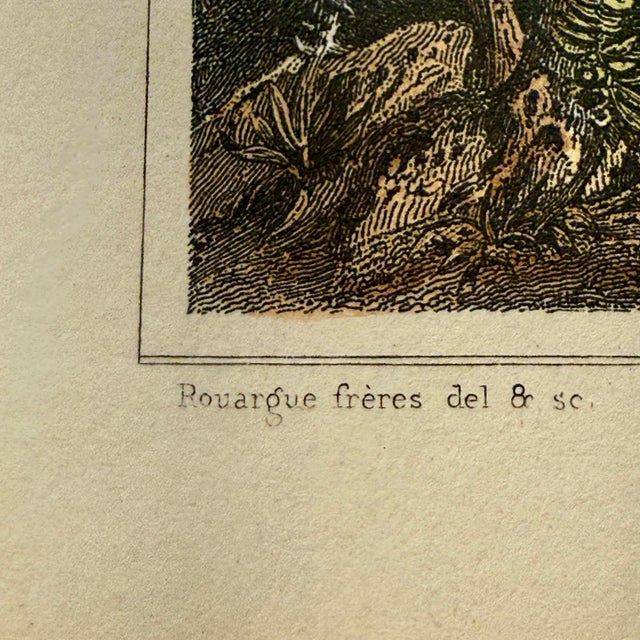 Mid 19th Century Mid-19th Century French Riviera Engravings - A Pair For Sale - Image 5 of 12